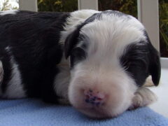 Photo2 for Logan