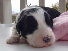 Photo1 for Luna