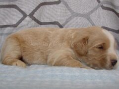 Photo2 for Sawyer