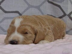 Photo3 for Sharla