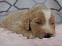 Photo2 for Sophie