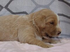 Photo3 for Sophie
