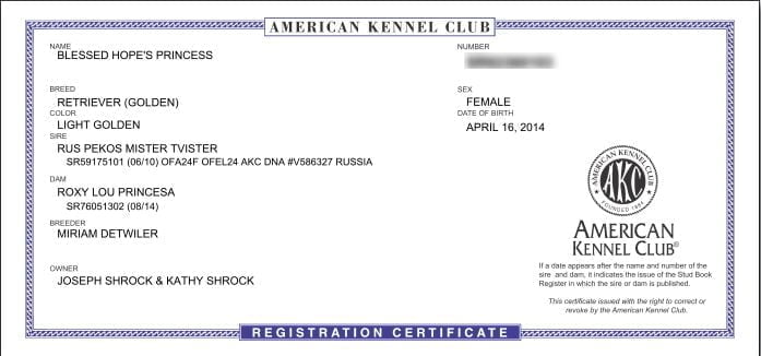 AKC Registration