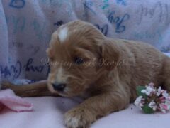 Photo3 for Francine
