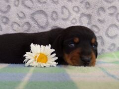 Photo3 for Miguel