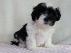 Photo3 for Adelyn