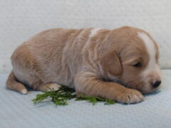 Photo4 for Boston
