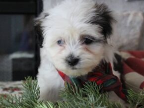 Photo of Rita