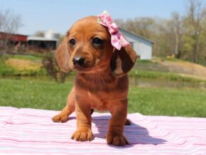 Photo of Holli