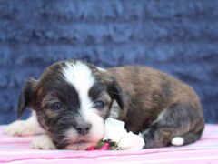 Photo1 for Riley
