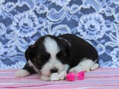 Photo2 for Ruby