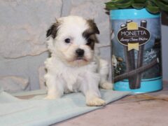 Photo3 for Chloe