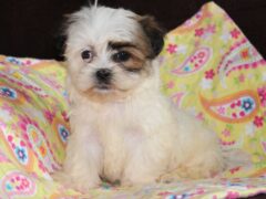 Photo2 for Chloe
