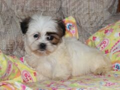 Photo1 for Chloe