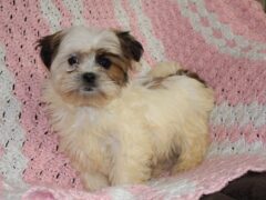 Photo1 for Chloe