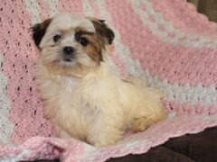 Photo3 for Chloe