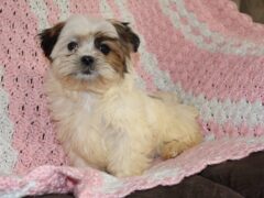 Photo4 for Chloe