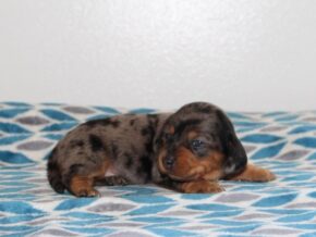 Photo of Cassie
