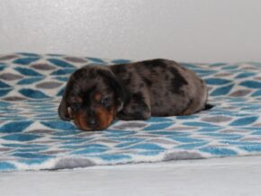 Photo of Cassie