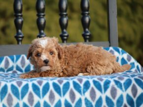 Photo of Gabby