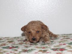 Photo3 for Gabrielle