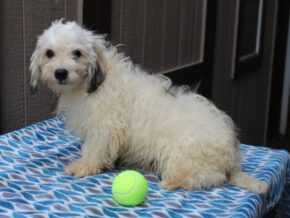 Photo of Kassper
