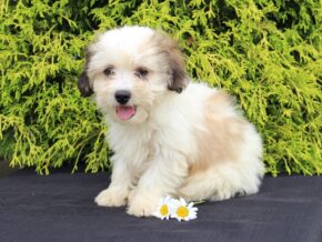 Photo of Kaydence