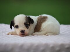 Photo4 for Kaydence