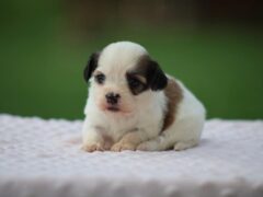 Photo3 for Kaydence