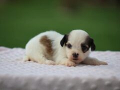 Photo2 for Kaydence