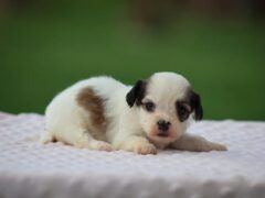 Photo1 for Kaydence