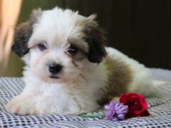 Photo4 for Kaydence