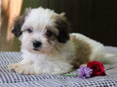 Photo3 for Kaydence