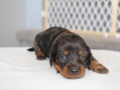 Photo3 for Rylie