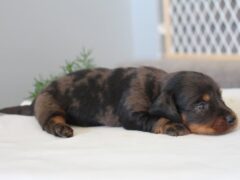 Photo2 for Rylie